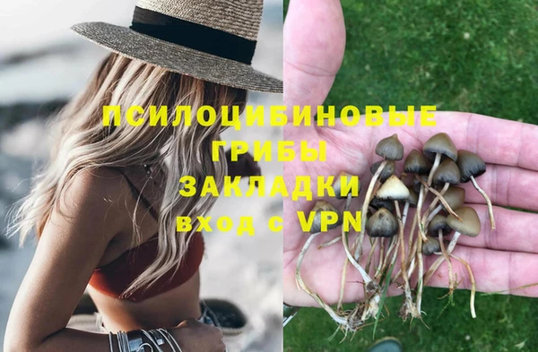 дмт Белоозёрский