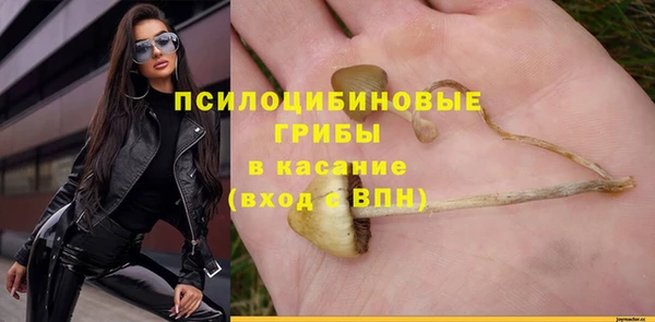 молекула духа Беломорск