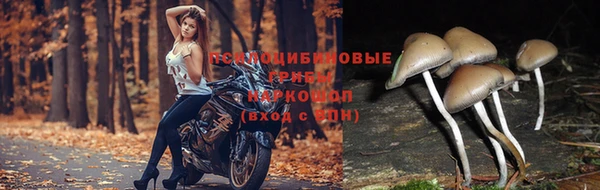 дмт Белоозёрский