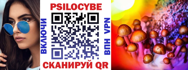 hydra ТОР  где купить наркотик  Горно-Алтайск  Псилоцибиновые грибы мицелий 