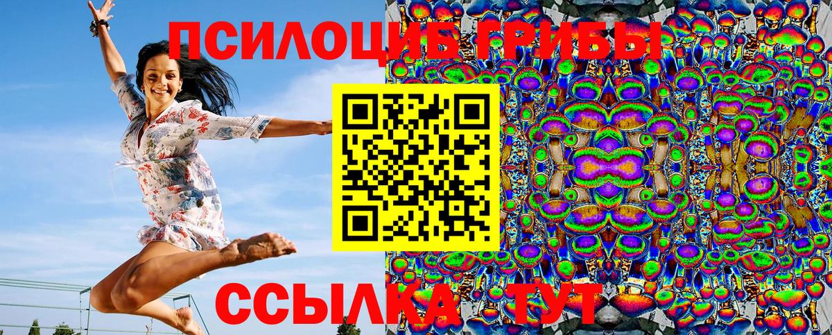 Псилоцибиновые грибы Magic Shrooms  как найти   Горно-Алтайск  Вход с VPN 