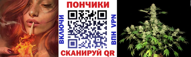 Каннабис OG Kush  Горно-Алтайск 