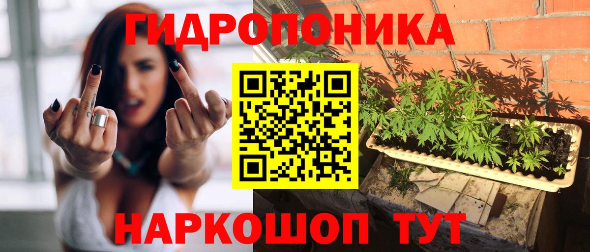 Бошки Шишки планчик  Шишки марихуана гибрид  Каннабис Ganja  Вход с VPN  Горно-Алтайск 